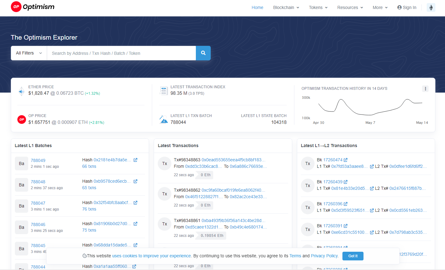 Optimistic Ethereum L2 Explorer